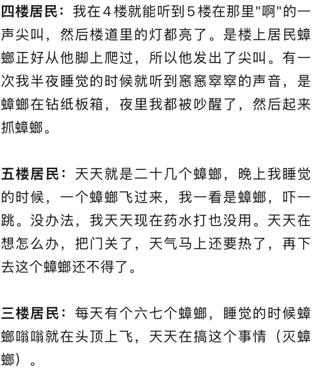 6a2ca5d6c167a.webp.webp
