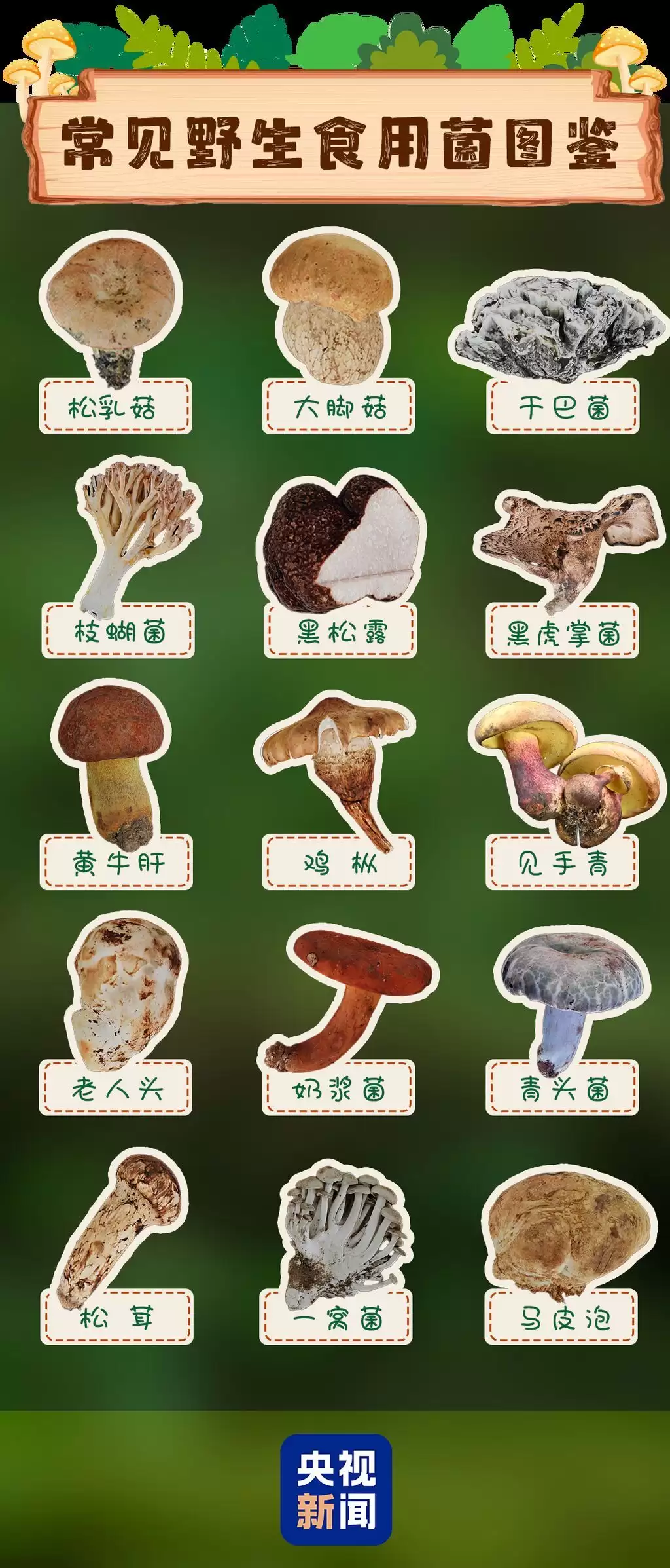 f57b06ffa6be0e211e70b9344b7ef59f.webp.webp