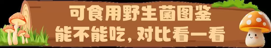6c51a57c3ae11cbc2022558e86f5af83.webp.webp