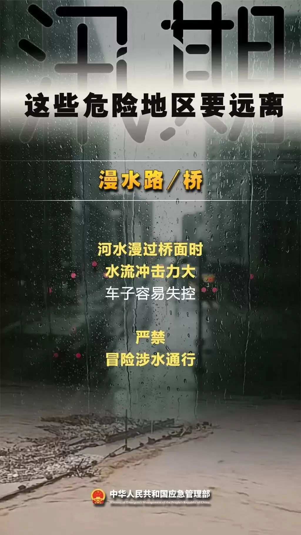 e407c0ff5aeb59d41122269995c74f2e.webp.webp