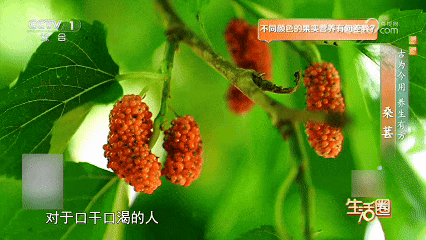 6a448ca1993d2.gif.webp