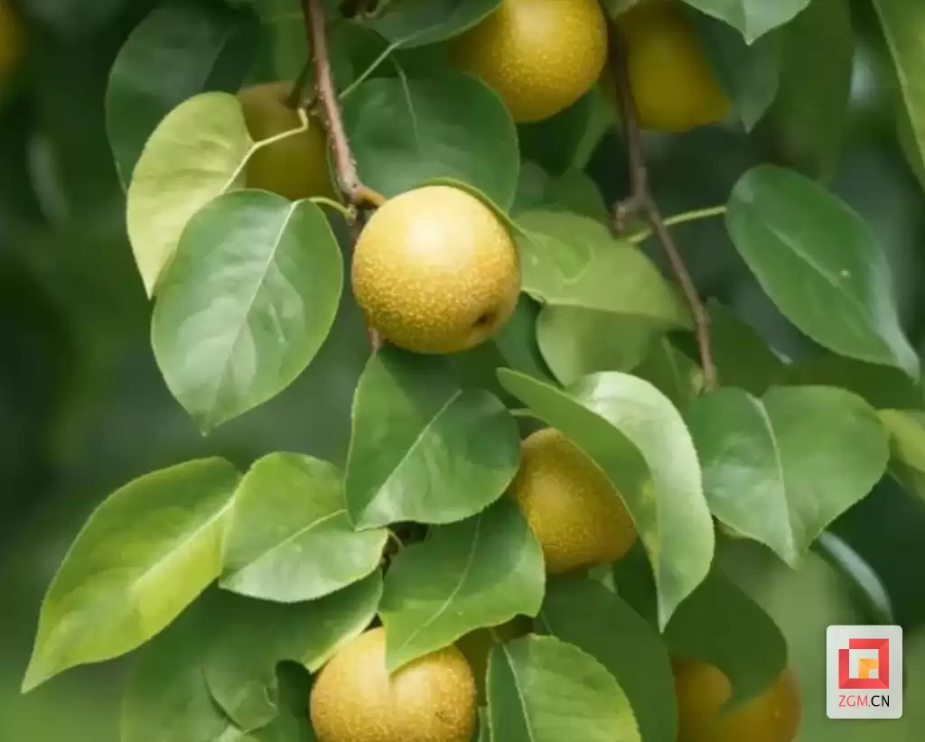 e21c14fa14928c4ed52c7589fc4d239f.png.webp