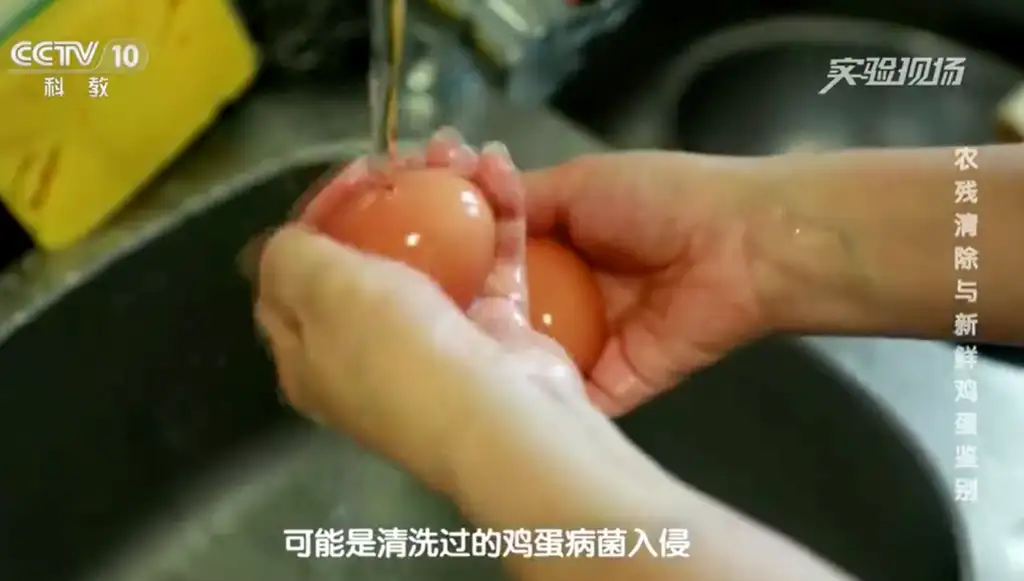 25786c81f4239e6855e4727127b64fc6.png.webp